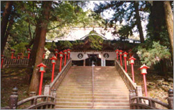 �Ⓦ�R�R�ω���ꏄ��E�Ⓦ�R�R�ω���ꏄ��o�X�c�A�[�\��